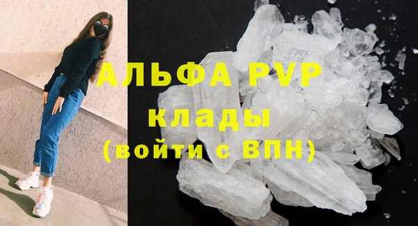 тгк Белокуриха