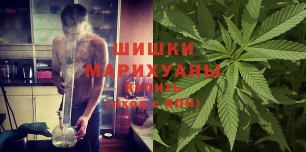тгк Белокуриха